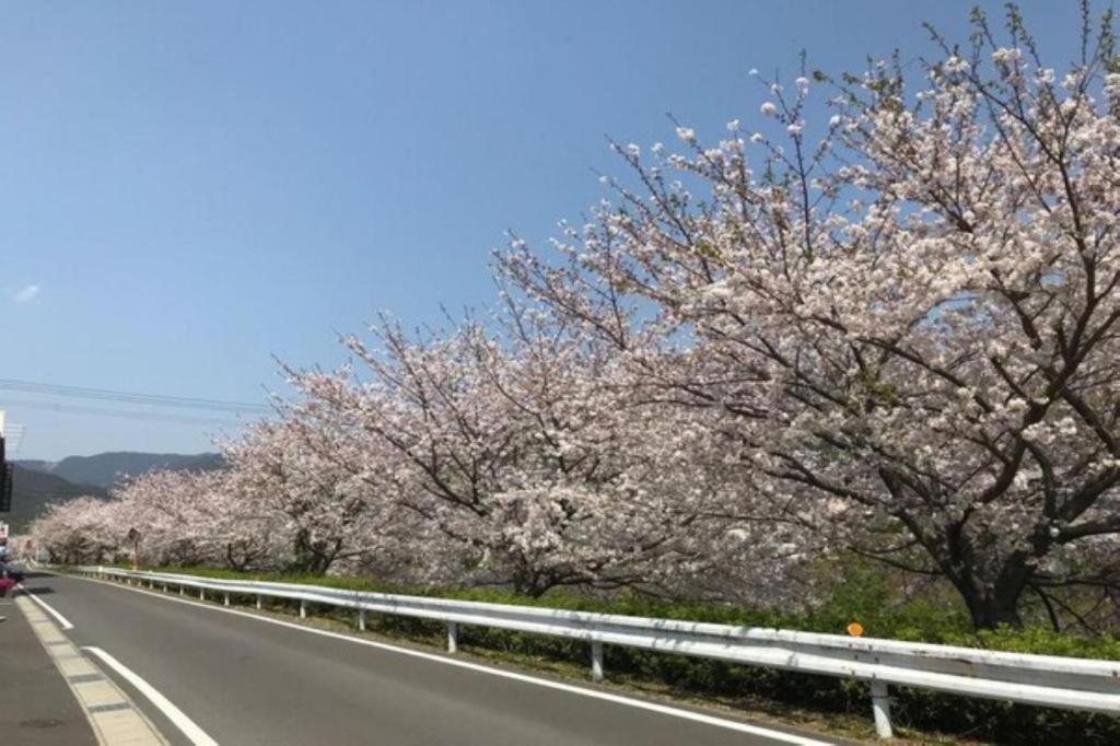 Business Hotel Kawakami Kumano Exteriér fotografie